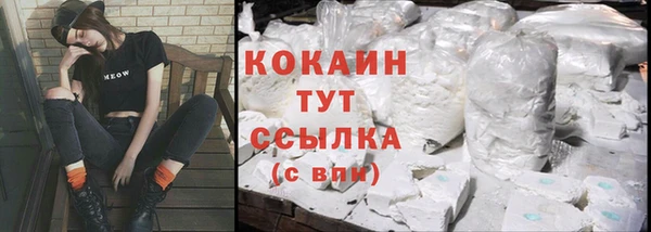 ГАЛЛЮЦИНОГЕННЫЕ ГРИБЫ Михайлов
