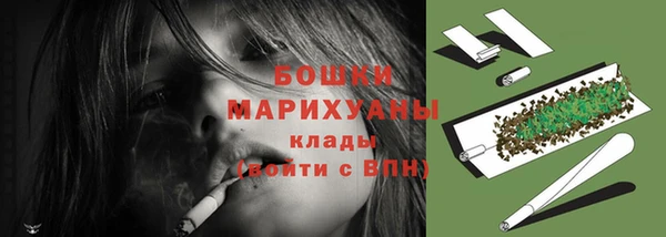 сатива Медногорск