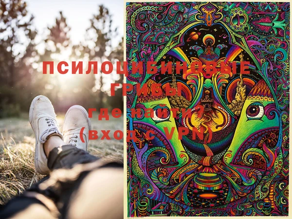 сатива Медногорск