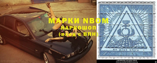 сатива Медногорск