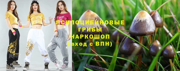 сатива Медногорск