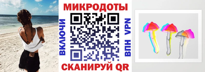 Галлюциногенные грибы Psilocybe Любань